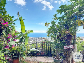 Vigot - T2 - 50m² - Saint-Denis